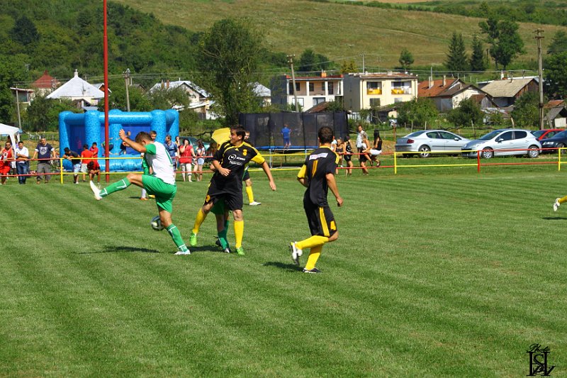 Sportovy den 2014   246.JPG